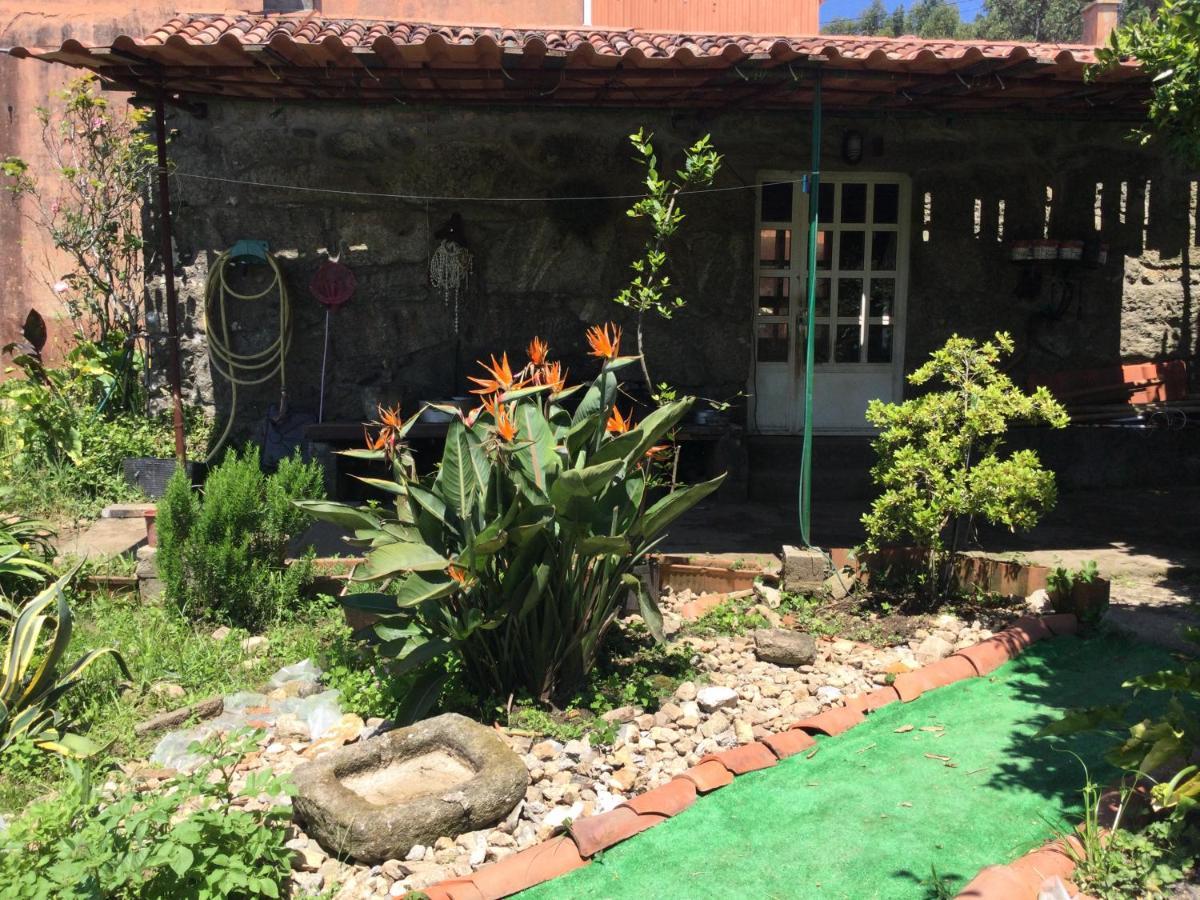 Habitacion En A Armenteira Ideal Peregrinos Apartman Meis Kültér fotó